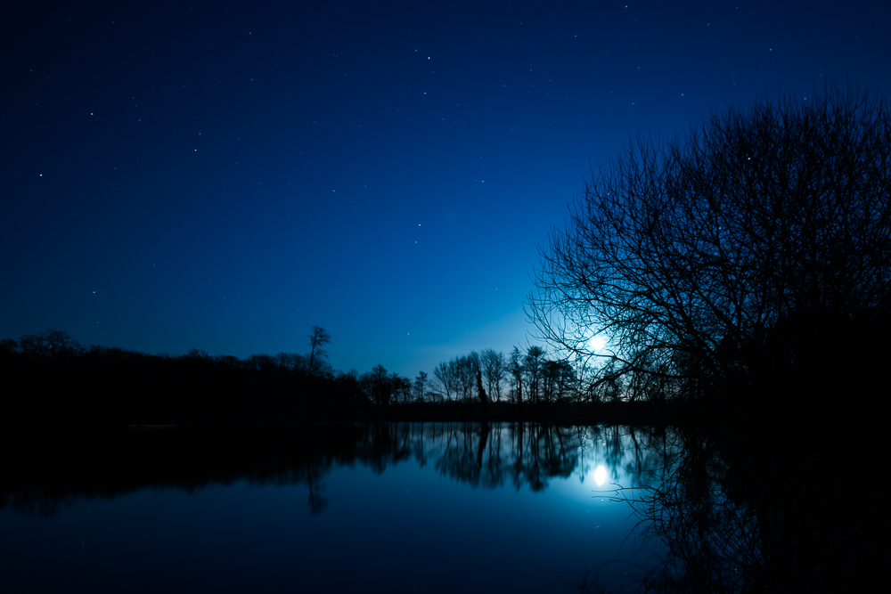 Moonlight_on_Hatfield_Forest_Lake