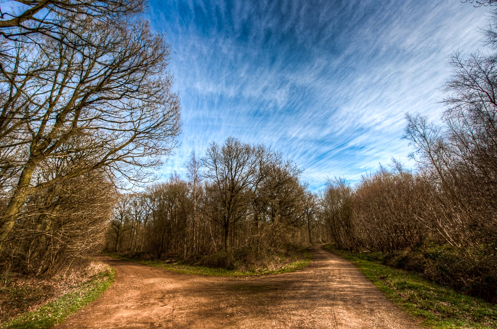 Step into Spring