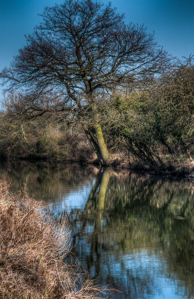 Tipping Point tipping Point